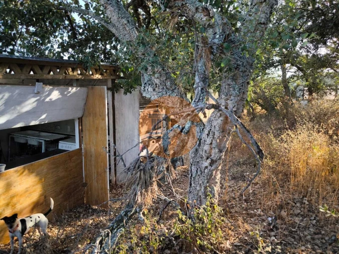 Terreno para Venda em Castro Marim Foto 22