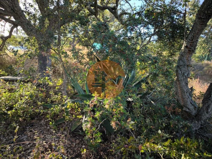 Terreno para Venda em Castro Marim Foto 19