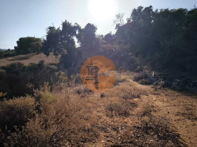 Terreno para Venda em Castro Marim Foto 6