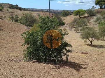 Terreno para Venda em Castro Marim