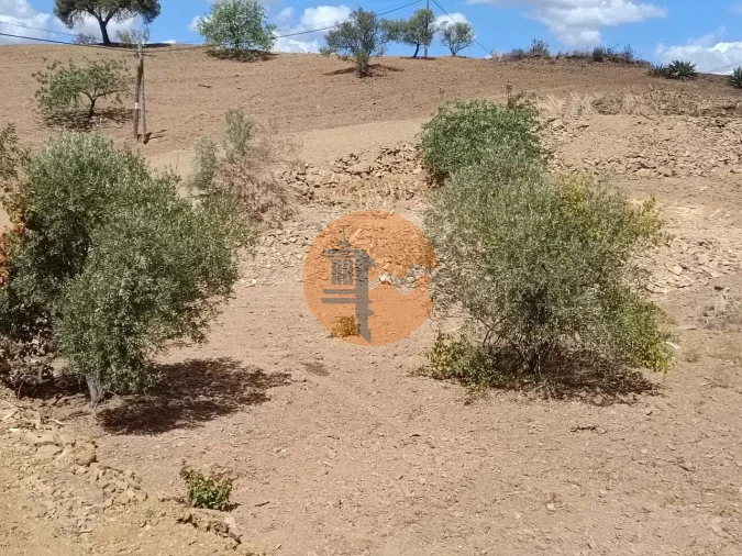 Terreno para Venda em Castro Marim Foto 3