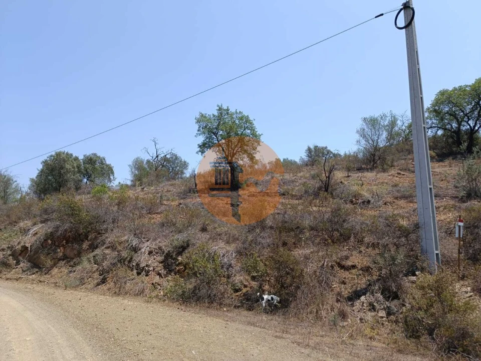 Terreno para Venda em Azinhal Foto 10