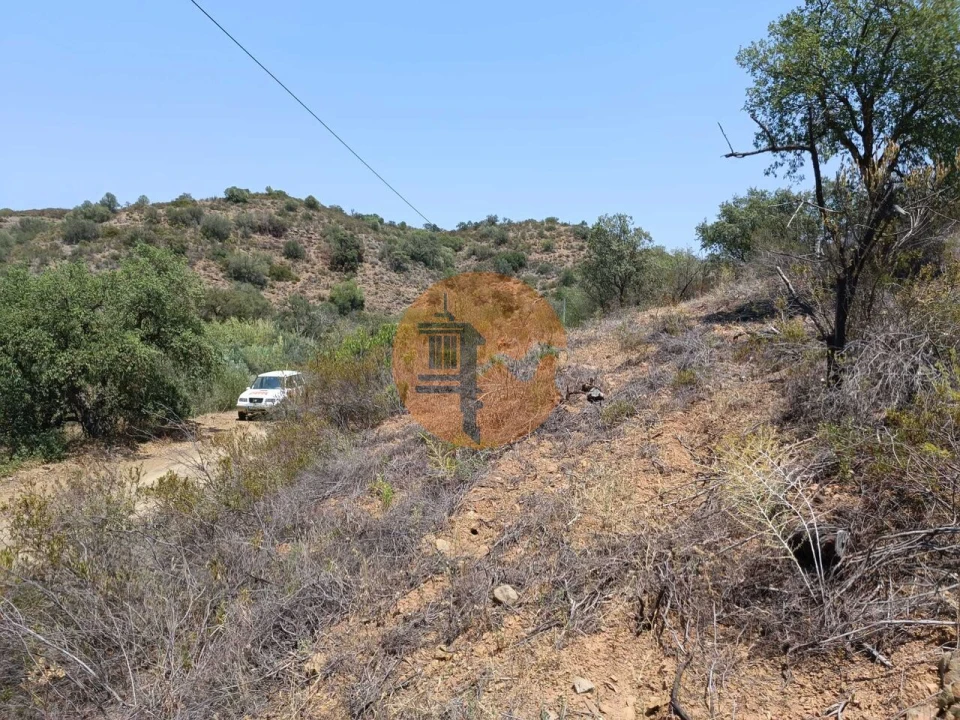 Terreno para Venda em Azinhal Foto 21