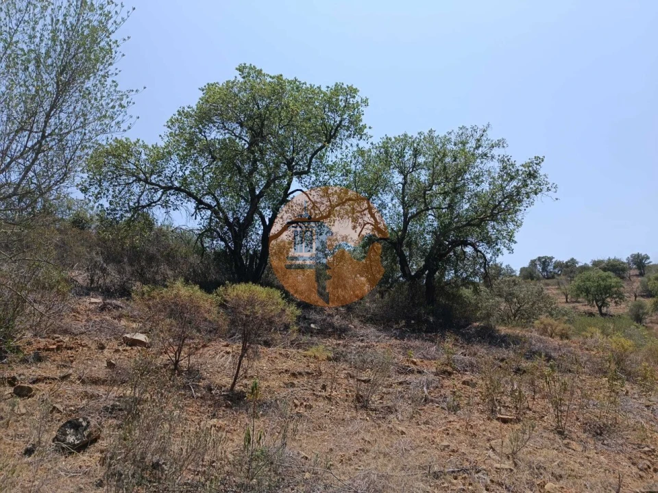 Terreno para Venda em Azinhal Foto 23