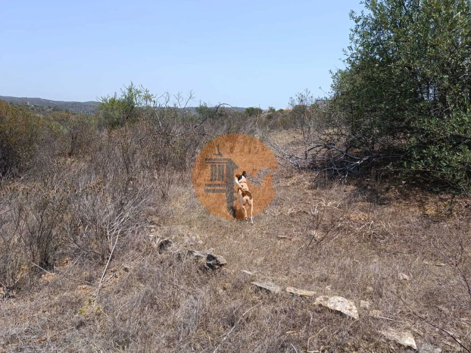 Terreno para Venda em Azinhal Foto 25