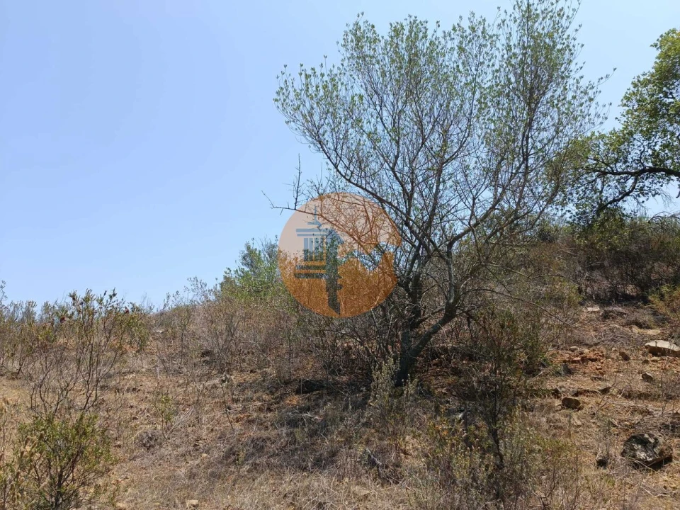 Terreno para Venda em Azinhal Foto 28