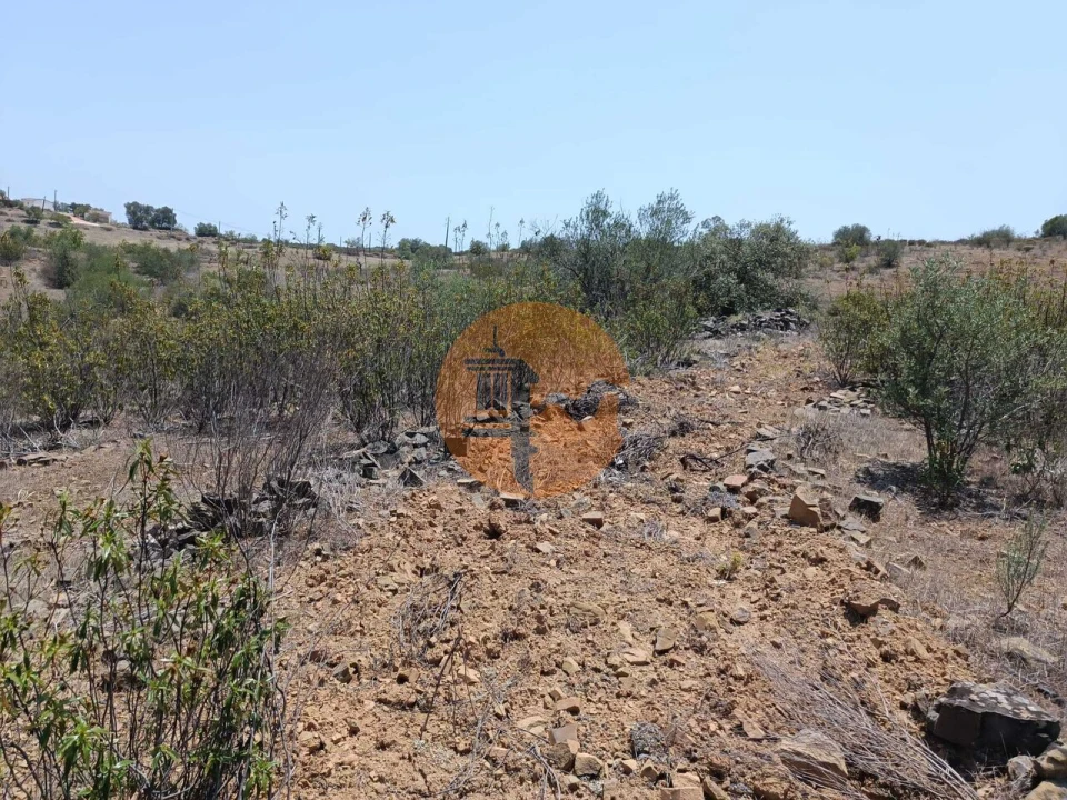 Terreno para Venda em Azinhal Foto 29
