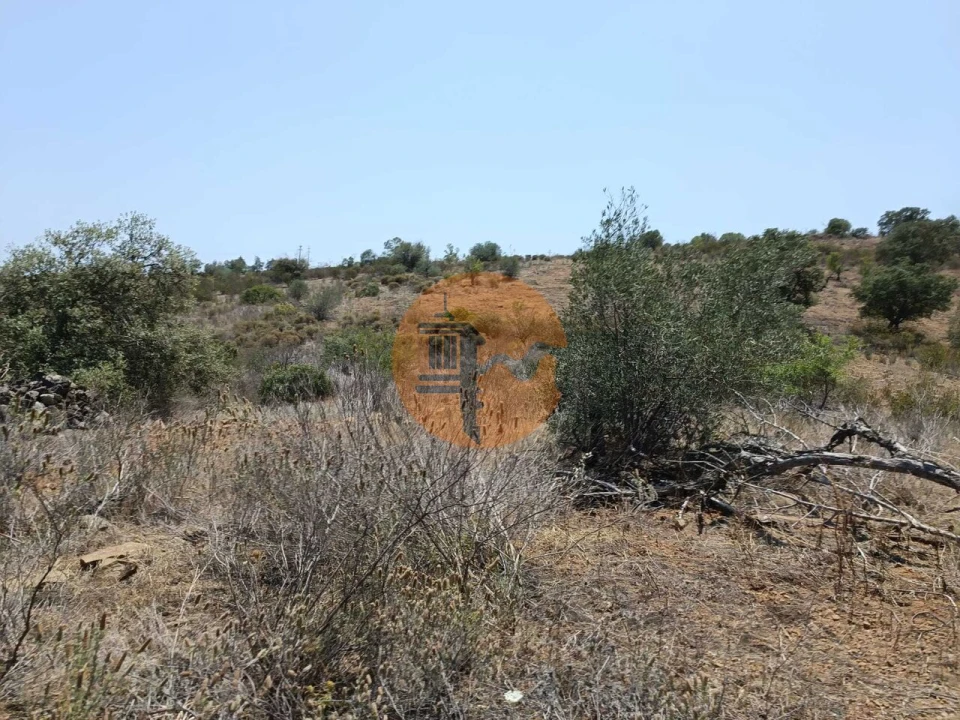Terreno para Venda em Azinhal Foto 40