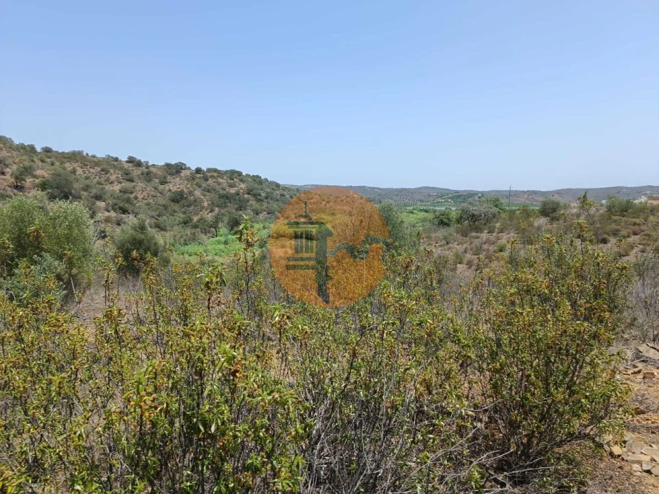 Terreno para Venda em Azinhal Foto 42
