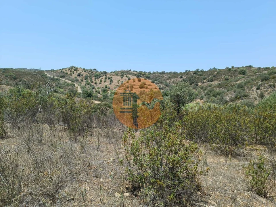 Terreno para Venda em Azinhal Foto 43
