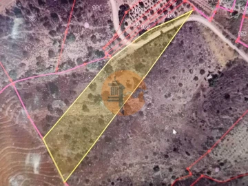 Terreno para Venda em Azinhal