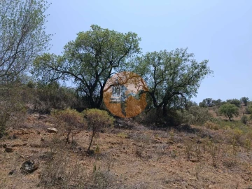 Terreno para Venda em Azinhal