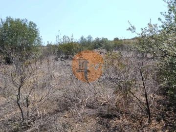 Terreno para Venda em Azinhal