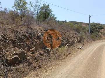 Terreno para Venda em Azinhal