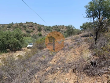 Terreno para Venda em Azinhal