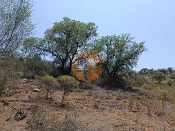 Terreno para Venda em Azinhal