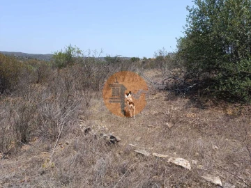 Terreno para Venda em Azinhal