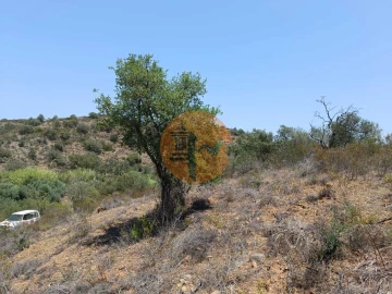 Terreno para Venda em Azinhal