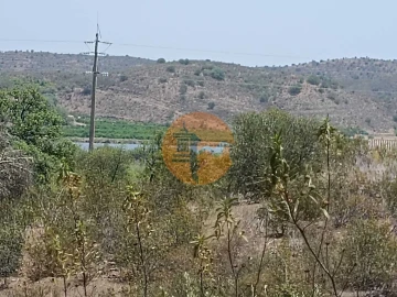 Terreno para Venda em Azinhal