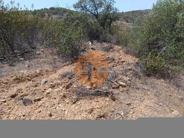 Terreno para Venda em Azinhal