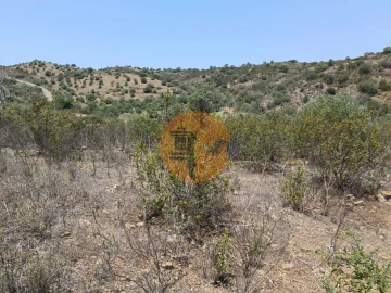 Terreno para Venda em Azinhal