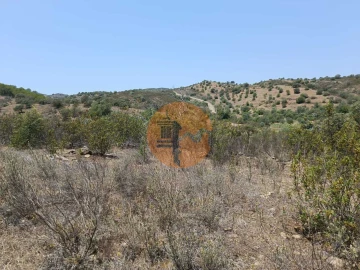 Terreno para Venda em Azinhal