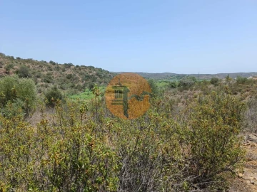 Terreno para Venda em Azinhal