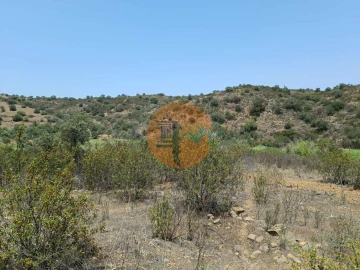 Terreno para Venda em Azinhal