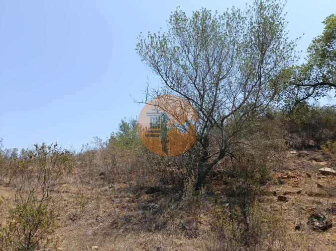 Terreno para Venda em Azinhal Foto 11