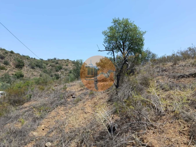 Terreno para Venda em Azinhal Foto 14