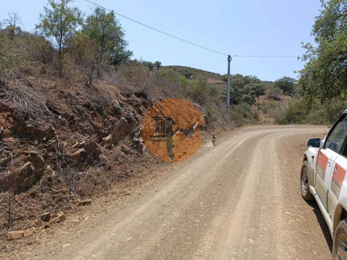Terreno para Venda em Azinhal Foto 22
