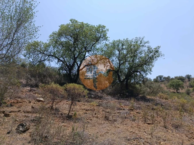 Terreno para Venda em Azinhal Foto 23