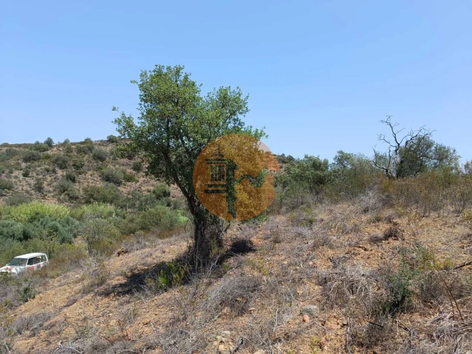 Terreno para Venda em Azinhal Foto 27