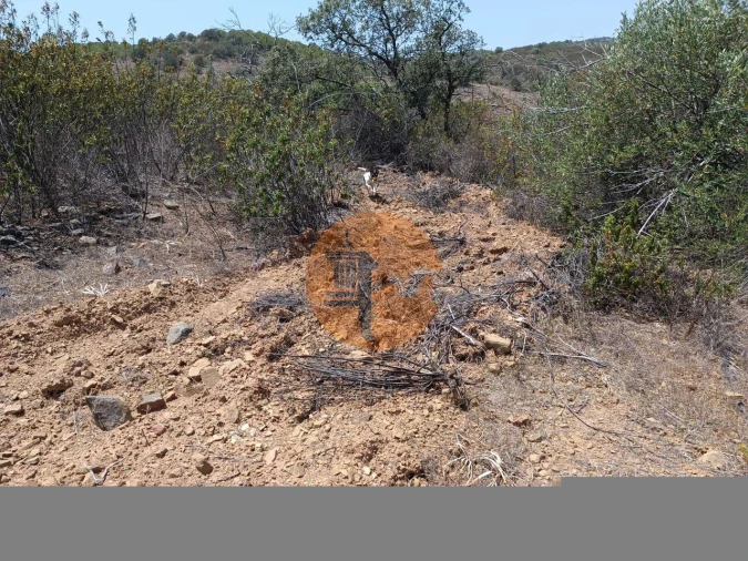 Terreno para Venda em Azinhal Foto 35