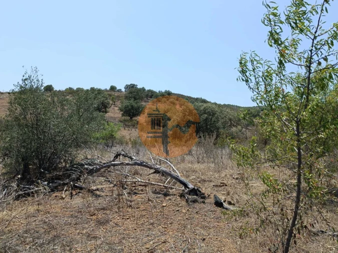 Terreno para Venda em Azinhal Foto 39