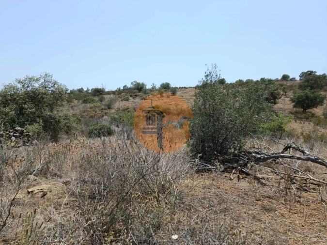 Terreno para Venda em Azinhal Foto 40