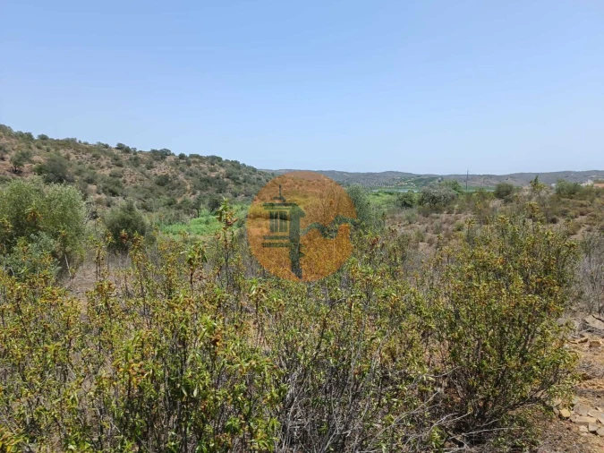 Terreno para Venda em Azinhal Foto 42