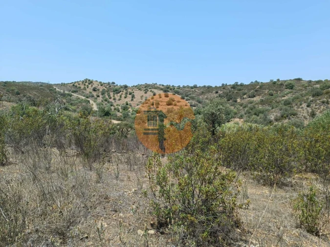 Terreno para Venda em Azinhal Foto 43