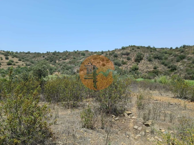 Terreno para Venda em Azinhal Foto 44