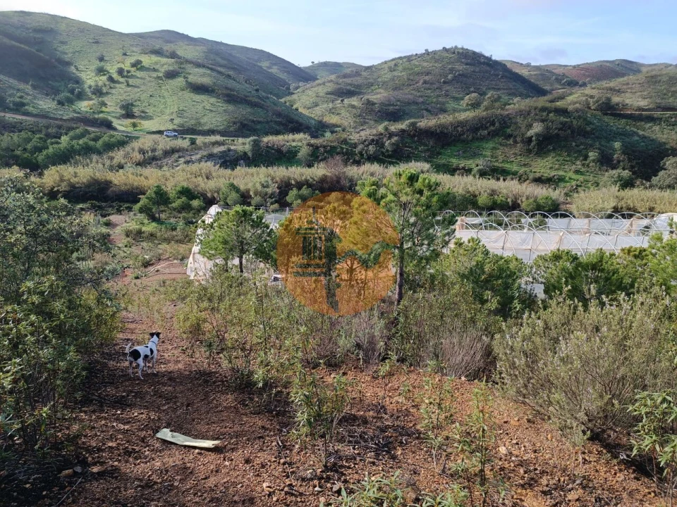 Terreno para Venda em Castro Marim Foto 5