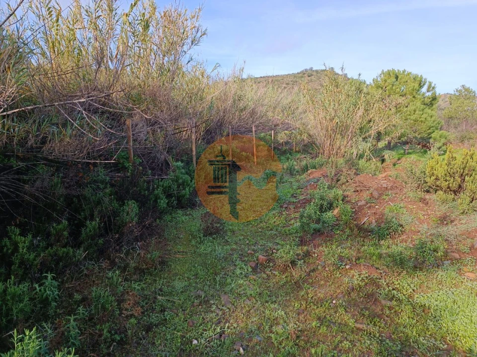 Terreno para Venda em Castro Marim Foto 8