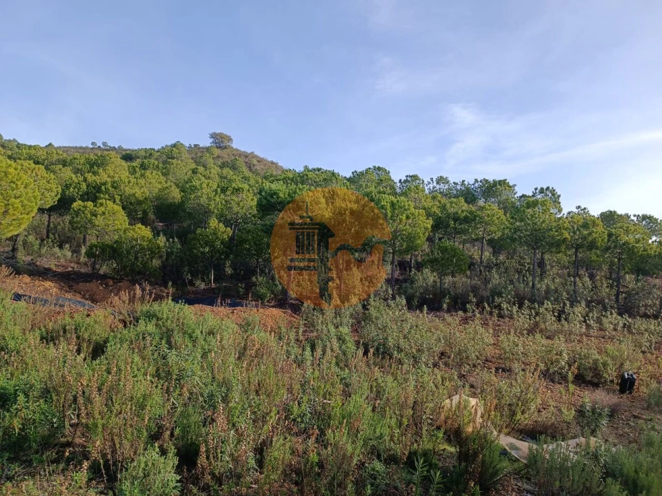 Terreno para Venda em Castro Marim Foto 18