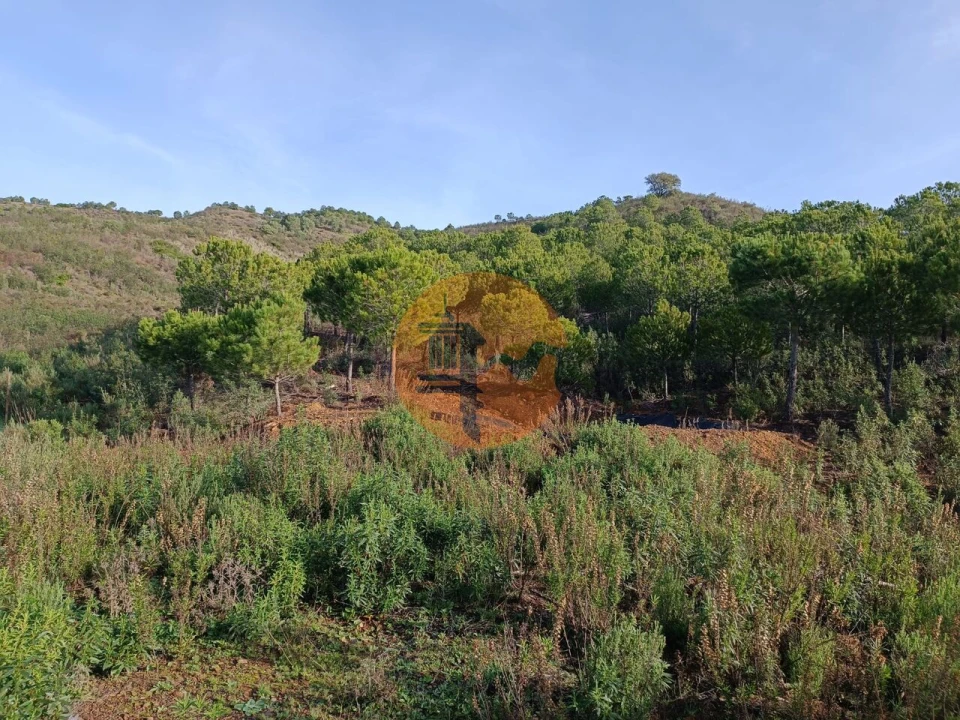Terreno para Venda em Castro Marim Foto 19