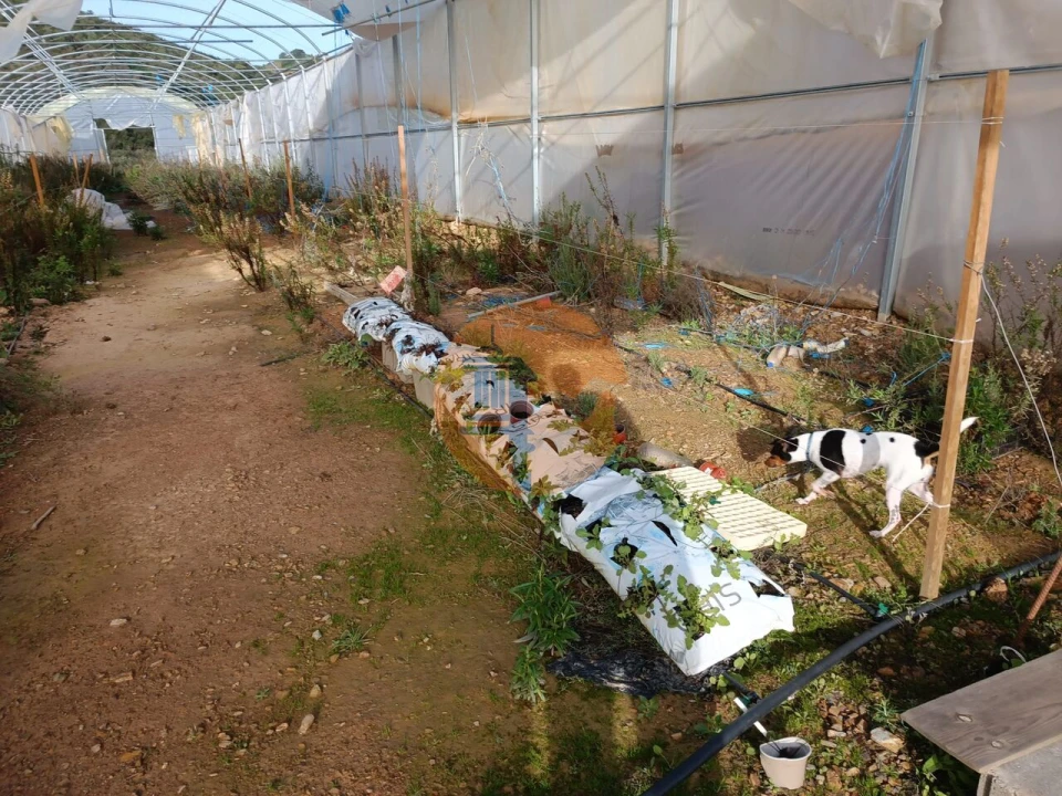 Terreno para Venda em Castro Marim Foto 24