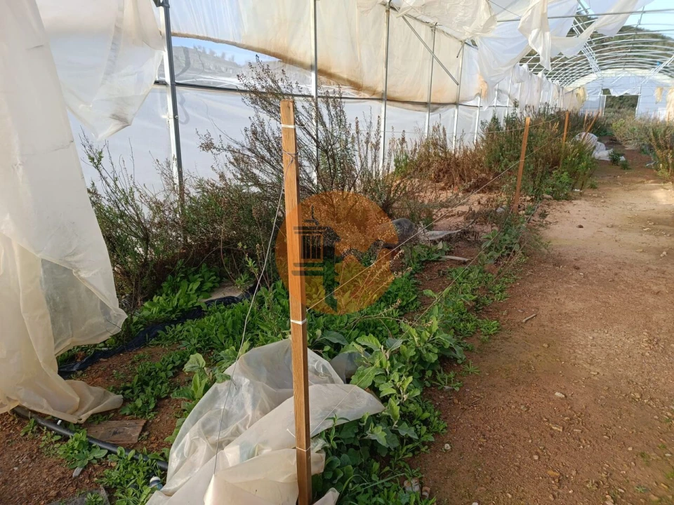 Terreno para Venda em Castro Marim Foto 25