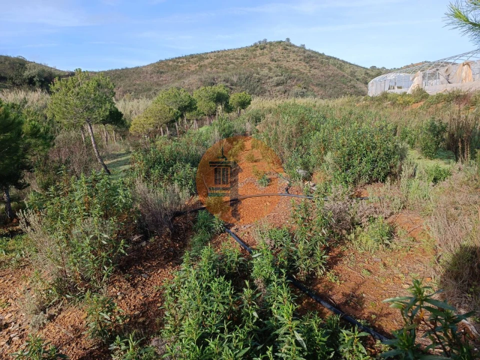 Terreno para Venda em Castro Marim Foto 31