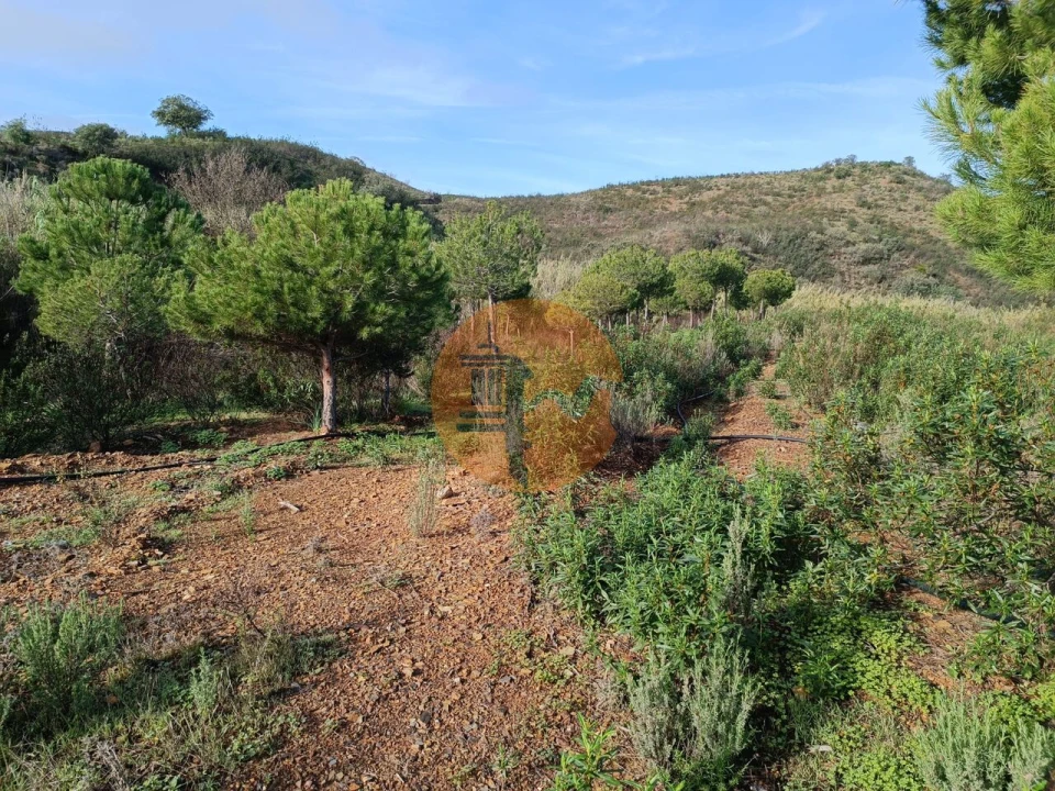 Terreno para Venda em Castro Marim Foto 35