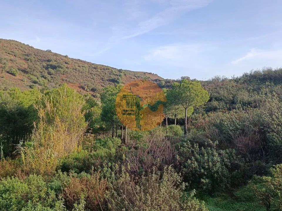 Terreno para Venda em Castro Marim Foto 37
