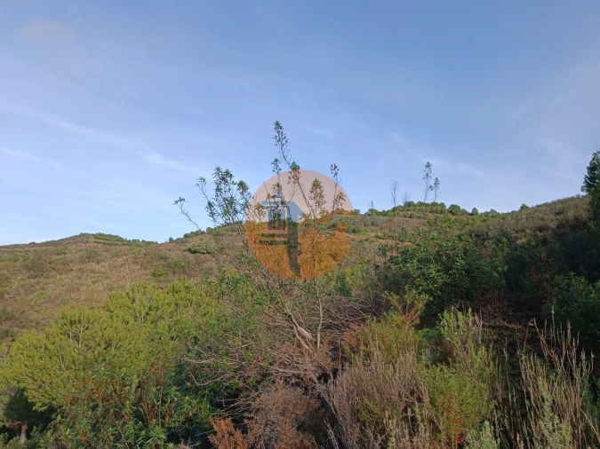 Terreno para Venda em Castro Marim Foto 7
