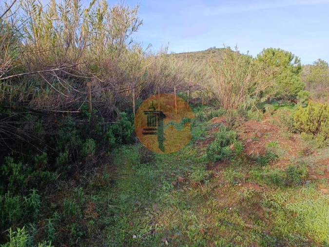 Terreno para Venda em Castro Marim Foto 8